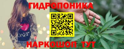 apvp Лесосибирск